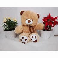 Boneka Beruang Teddy Bear Syal Telapak Jumbo